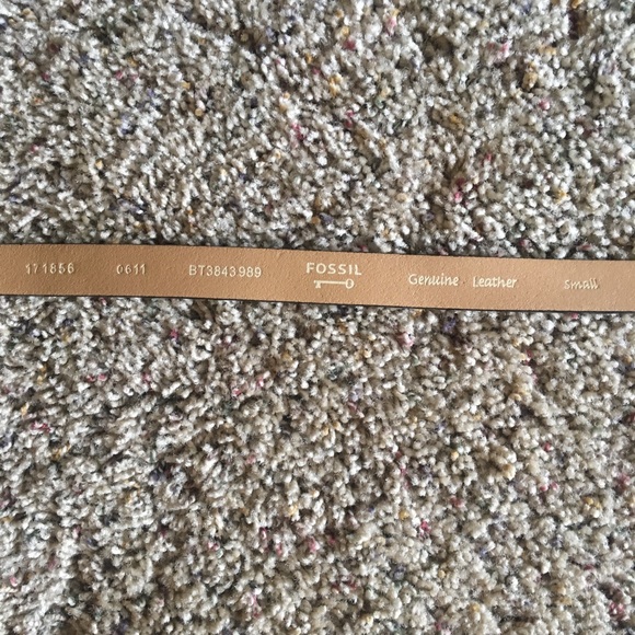 Fossil animal print belt - Picture 3 of 4